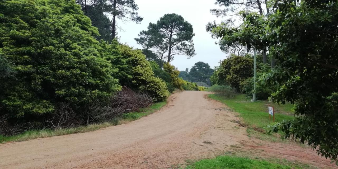 Las Chozas Punta del Este Bilik gambar
